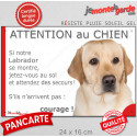 Labrador sable, plaque humour "Attention au Chien, Jetez Vous au Sol, courage" 24 cm JET