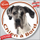 Dogue Allemand Arlequin, sticker autocollant rond "Chien à Bord" Disque adhésif photo Danois bleu race