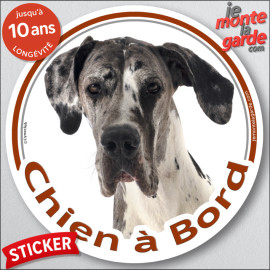 Dogue Allemand Arlequin, sticker autocollant rond "Chien à Bord" Disque adhésif photo Danois bleu race, résiste pluie soleil gel