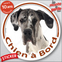 Dogue Allemand arlequin, sticker voiture rond "Chien à Bord" 14 cm