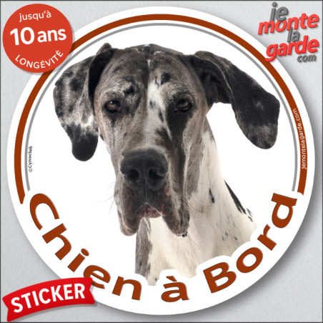 Dogue Allemand Arlequin, sticker autocollant rond "Chien à Bord" Disque adhésif photo Danois bleu race, résiste pluie soleil gel