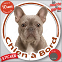 Bouledogue Français lilac, sticker voiture "Chien à Bord" 2 tailles D