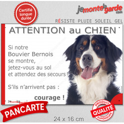 Bouvier Bernois, Panneau "Attention au Chien, montre, jetez-vous sol attendez secours" plaque humour photo marrant drôle