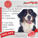 Bouvier Bernois, plaque humour "distance Niche-Portail 3 secondes" 2 tailles D
