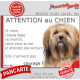 Lhassa Apso fauve, plaque portail humour "Attention au Chien, Jetez Vous au Sol, attendez secours, courage" photo pancarte