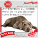 Plaque portail humour extérieure "Attention au Chien, Merci de ne pas déranger notre Braque de Weimar" Photo drôle fatigué