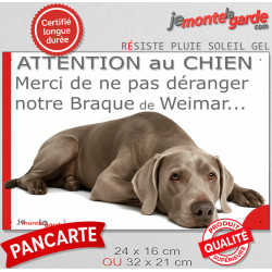Plaque portail humour extérieure "Attention au Chien, Merci de ne pas déranger notre Braque de Weimar" Photo drôle fatigué