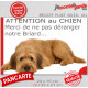 Plaque portail humour extérieure "Attention au Chien, Merci de ne pas déranger notre Briard fauve". Photo Berger Brie fatigué