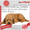 Plaque humour "Attention au Chien, Merci de ne pas déranger notre Briard fauve" 2 Tailles D