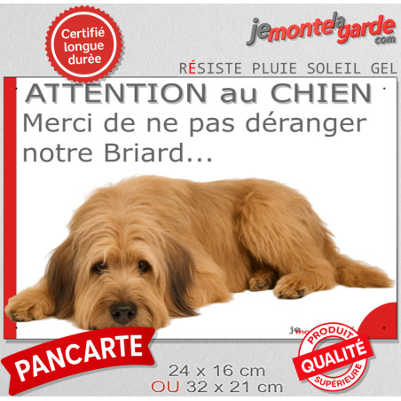 Plaque portail humour extérieure "Attention au Chien, Merci de ne pas déranger notre Briard fauve". Photo Berger Brie fatigué