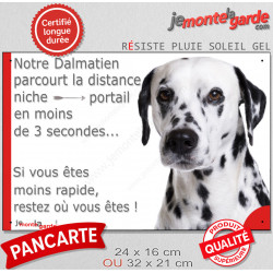 Dalmatien, plaque humour "parcourt distance Niche-Portail moins 3 secondes, rapide" pancarte photo attention au chien