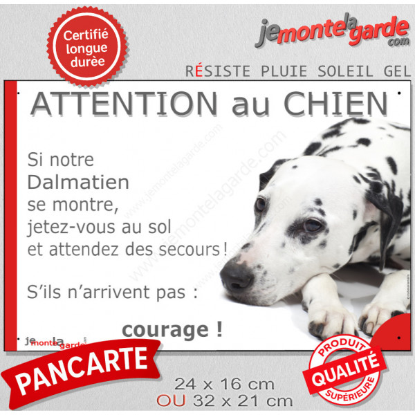 Dalmatien couché, plaque portail humour "Attention au Chien, Jetez Vous au Sol" pancarte photo panneau drôle blanc tâches noire