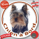 Yorkshire Terrier, sticker autocollant rond "Chien à Bord" disque photo York adhésif vitre voiture