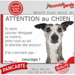 Lévrier Whippet bringé, plaque extérieure humour "Attention au Chien, Jetez Vous au Sol, attendez secours courage" photo portail