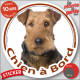 Airedale Terrier, disque photo autocollant voiture "Chien à Bord" Sticker adhésif