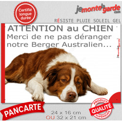 Plaque portail humour extérieure "Attention au Chien, Merci de ne pas déranger notre Berger Australien tricolore rouge" Photo