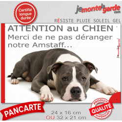 Plaque portail humour extérieure "Attention au Chien, Merci de ne pas déranger notre Amstaff gris bleu et blanc". Photo drôle