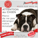 Plaque humour "Attention au Chien, Merci de ne pas déranger notre Amstaff noir et blanc" 2 Tailles D