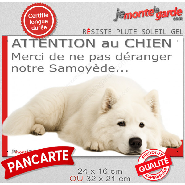 Plaque portail humour extérieure "Attention au Chien, Merci de ne pas déranger notre Samoyède". Photo drôle fatigué feignant