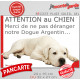 Plaque portail humour extérieure "Attention au Chien, Merci de ne pas déranger notre Dogue Argentin" Photo drôle fatigué Dogo