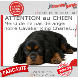 Plaque humour "Attention au Chien, Merci de ne pas déranger notre Cavalier King Charles noir et feu" 2 Tailles D