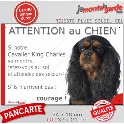 Cavalier King Charles, plaque humour "Attention au Chien, Jetez Vous au Sol" 2 tailles JET