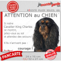Cavalier King Charles, plaque humour "Attention au Chien, Jetez Vous au Sol" 2 tailles JET