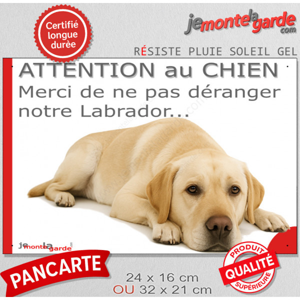 Plaque portail humour extérieur "Attention au Chien, Merci de ne pas déranger notre Labrador sable" Photo drôle fatigué feignant