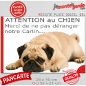 Plaque humour "Attention au Chien, Merci de ne pas déranger notre Carlin fauve" 2 Tailles D