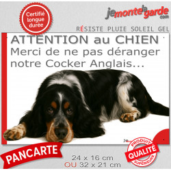 Plaque portail humour extérieure "Attention au Chien, Merci de ne pas déranger notre Cocker Anglais bleu rouanné et feu" photo