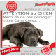 Plaque portail humour extérieure "Attention au Chien, Merci de ne pas déranger notre Cane Corso bringé gris" Photo drôle fatigué