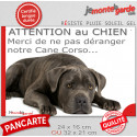 Plaque humour "Attention au Chien, Merci de ne pas déranger notre Cane Corso bringé gris" 2 Tailles D