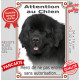 Terre neuve noir, plaque portail verticale "Attention au Chien, entrez pas sans autorisation" pancarte panneau photo