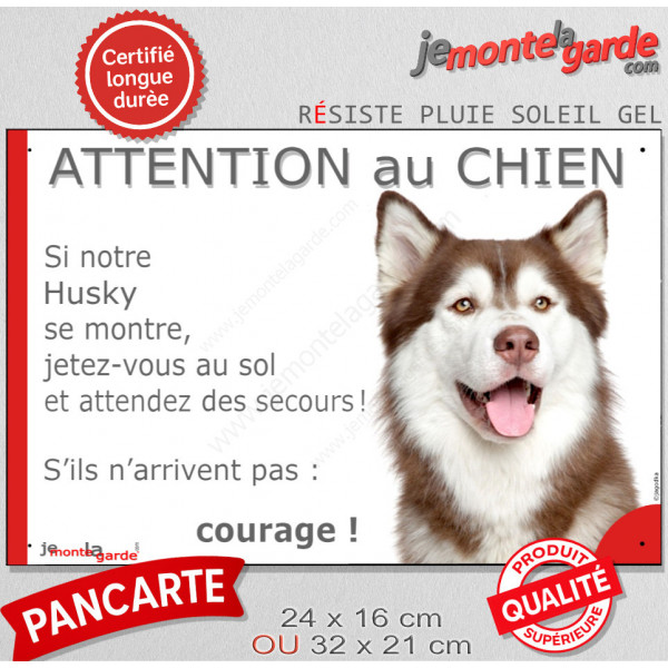 Husky Sibérien marron rouge et blanc, plaque humour "Attention au Chien, Jetez Vous au Sol, attendez secours, courage" photo