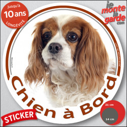 Cavalier King Charles Blenheim blanc et marron orange, sticker autocollant rond "Chien à Bord" Disque adhésif photo vitre voitur