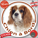 Cavalier King Charles Blenheim, sticker voiture rond "Chien à Bord" 2 tailles D