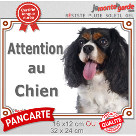 Cavalier King Charles tricolore, plaque Photo extérieure "Attention au Chien" 3 tailles Lux D