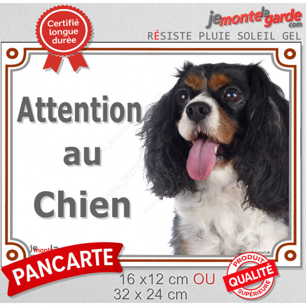 Cavalier King Charles tricolore, plaque portail "Attention au Chien" pancarte panneau 3 couleurs photo