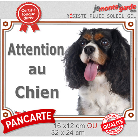 Cavalier King Charles tricolore, plaque Photo extérieure "Attention au Chien" 3 tailles Lux D
