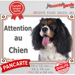 Cavalier King Charles tricolore, plaque Photo extérieure "Attention au Chien" 3 tailles Lux D
