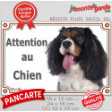 Cavalier King Charles tricolore, plaque Photo extérieure "Attention au Chien" 3 tailles Lux D