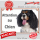 Cavalier King Charles tricolore, plaque portail "Attention au Chien" pancarte panneau 3 couleurs photo