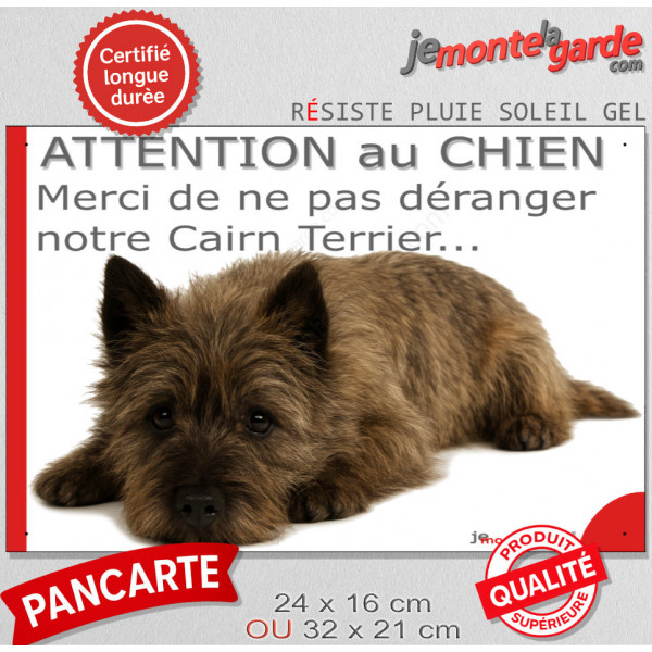 Plaque portail humour extérieure "Attention au Chien, Merci de ne pas déranger notre Cairn Terrier bringé charbonné" Photo drôle