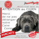 Plaque portail humour extérieure "Attention au Chien, Merci de ne pas déranger notre Cane Corso gris bleu" Photo drôle fatigué
