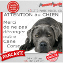 Plaque humour "Attention au Chien, Merci de ne pas déranger notre Cane Corso gris" 2 Tailles D