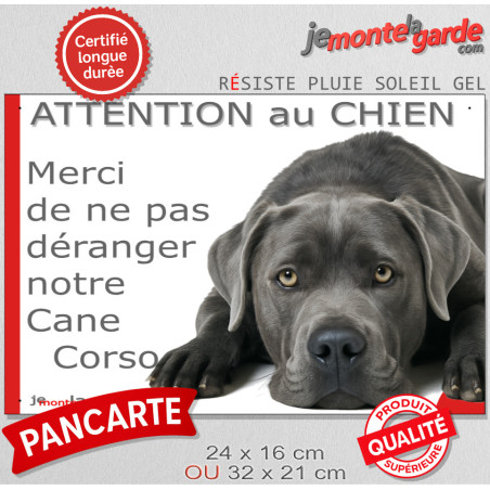Plaque portail humour "Attention au Chien, Merci de ne pas déranger notre Cane Corso gris bleu" Photo drôle fatigué, résiste plu