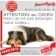 Plaque portail humour extérieure "Attention au Chien, Merci de ne pas déranger notre Colley bleu merle" Photo drôle fatigué