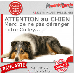 Plaque portail humour extérieure "Attention au Chien, Merci de ne pas déranger notre Colley bleu merle" Photo drôle fatigué