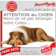 Plaque portail humour extérieure "Attention au Chien, Merci de ne pas déranger notre Colley fauve sable" Photo drôle fatigué