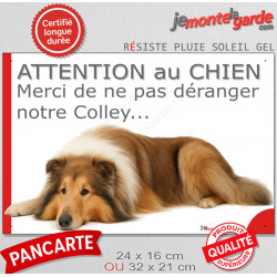 Plaque portail humour extérieure "Attention au Chien, Merci de ne pas déranger notre Colley fauve sable" Photo drôle fatigué
